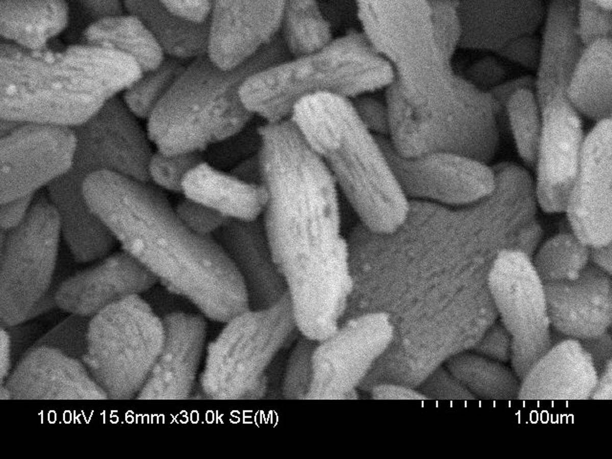 Conventional lithium disilicate. Note the size and space between. Image courtesy of GC America. 