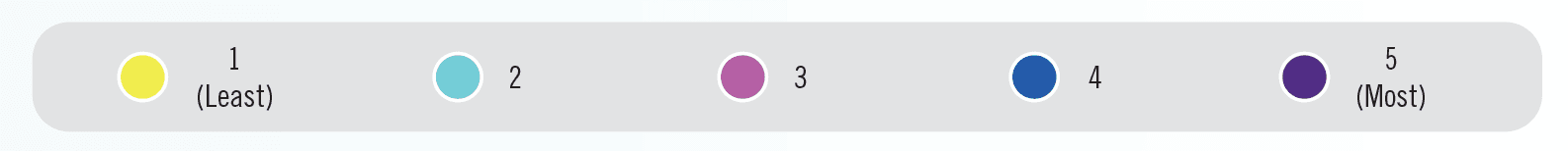 Tech Census rating scale